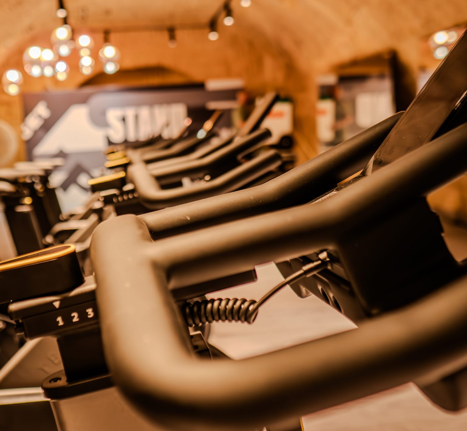 Mythos Technogym training environment